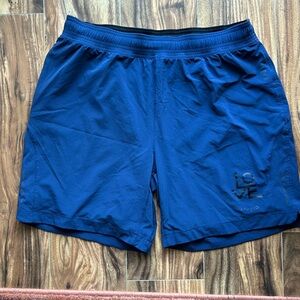 Rhone lined athletic shorts | size Large